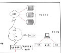 那年夏天0901